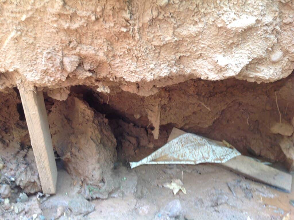 home-design-paillon-4